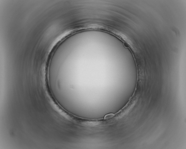 X0000114151134200910221541