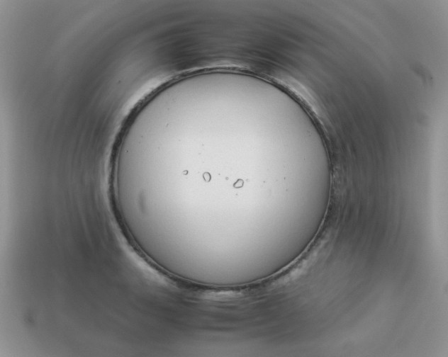 X0000114151135200910221541