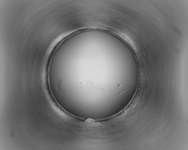 X0000114151136200910221541