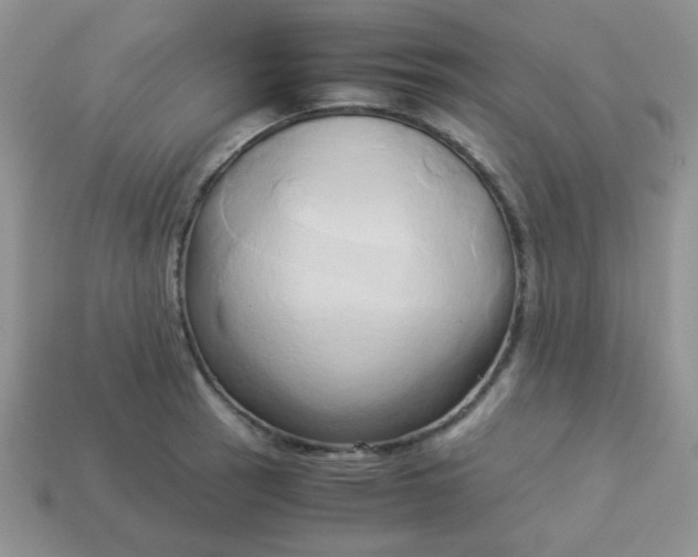 X0000114151137200910221541