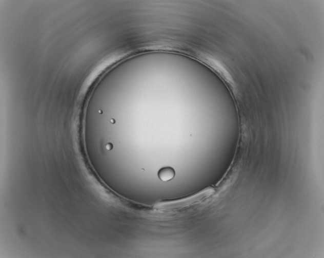 X0000114151138200910221541