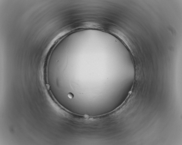 X0000114151139200910221541