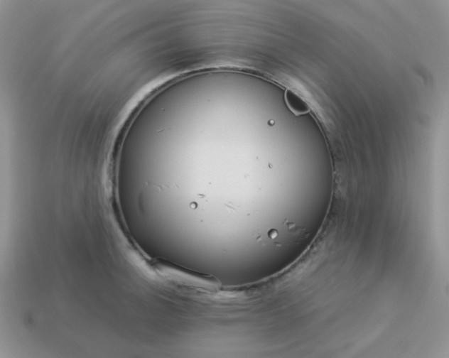 X0000114151140200910221541