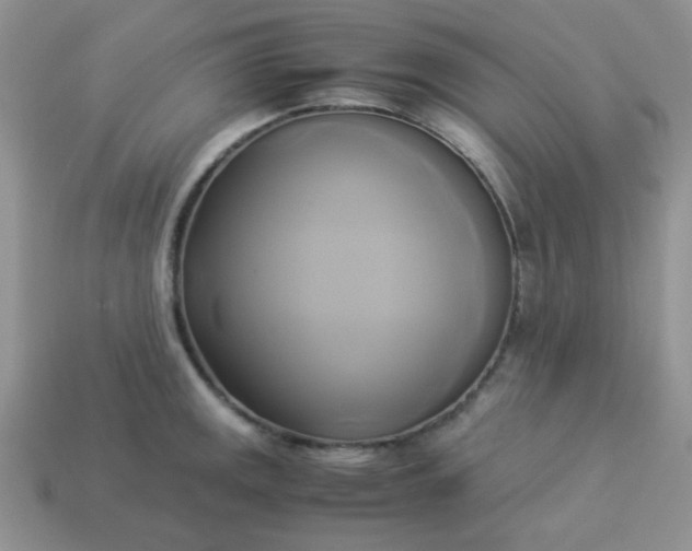 X0000114151141200910221541