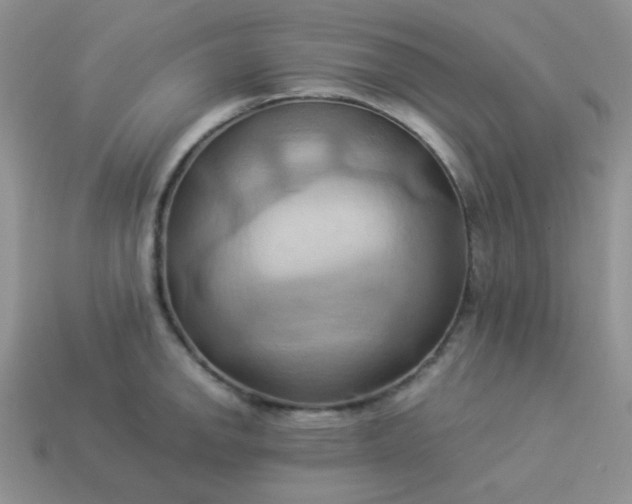 X0000114151142200910221541