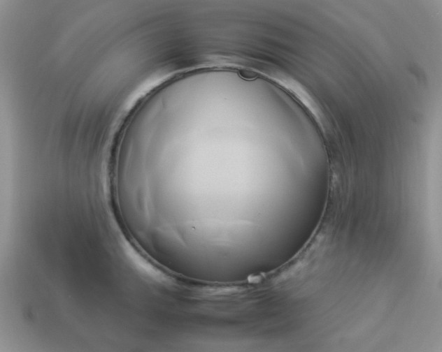 X0000114151143200910221541