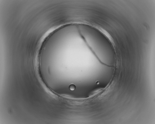 X0000114151144200910221541