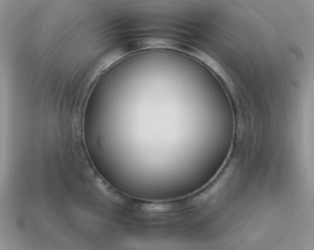 X0000114151145200910221541