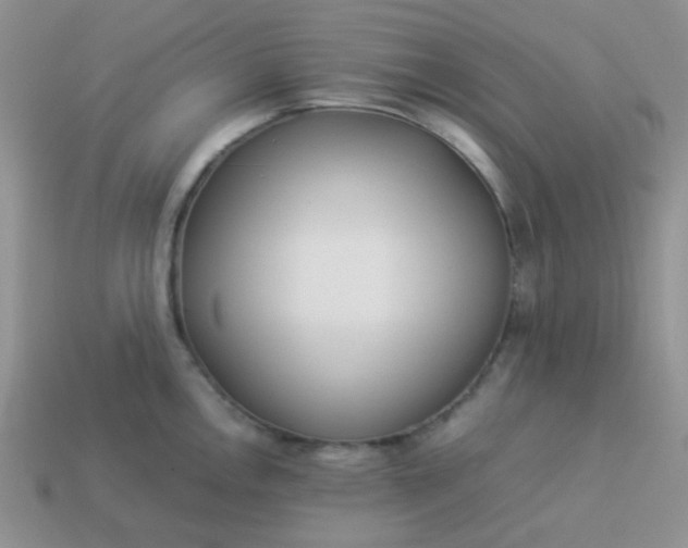 X0000114151146200910221541