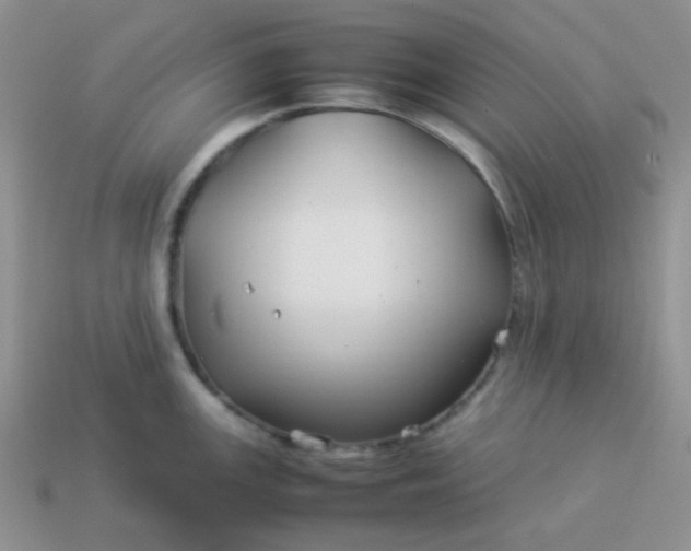 X0000114151147200910221541