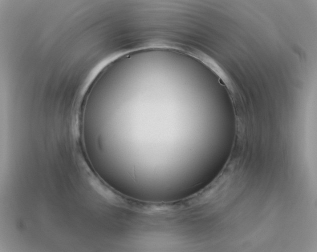 X0000114151148200910221541