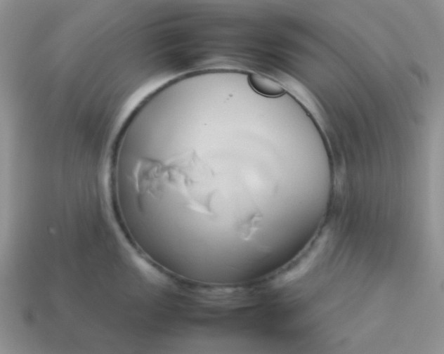 X0000114151149200910221541