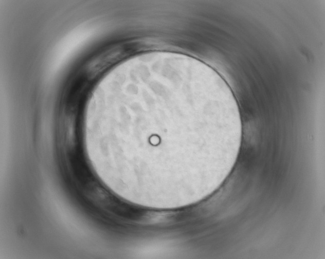 X0000114151150200910221541