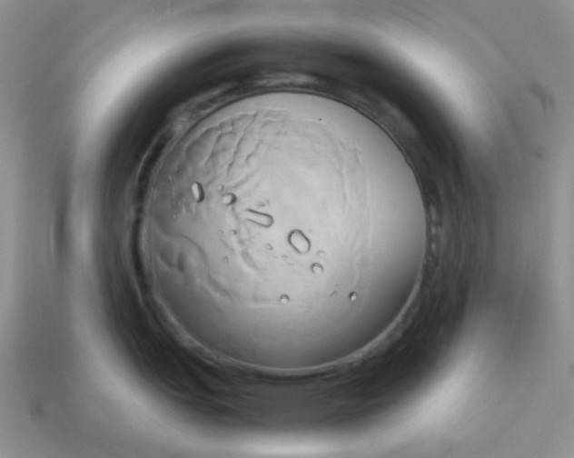 X0000114151151200910221541