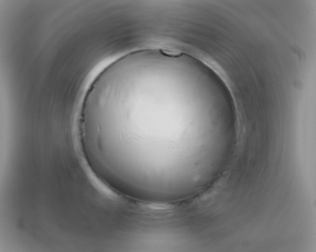 X0000114151152200910221541