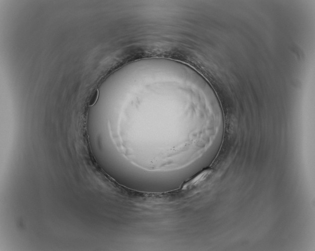 X0000114151153200910221541