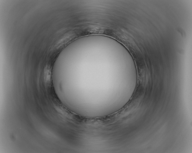 X0000114151154200910221541