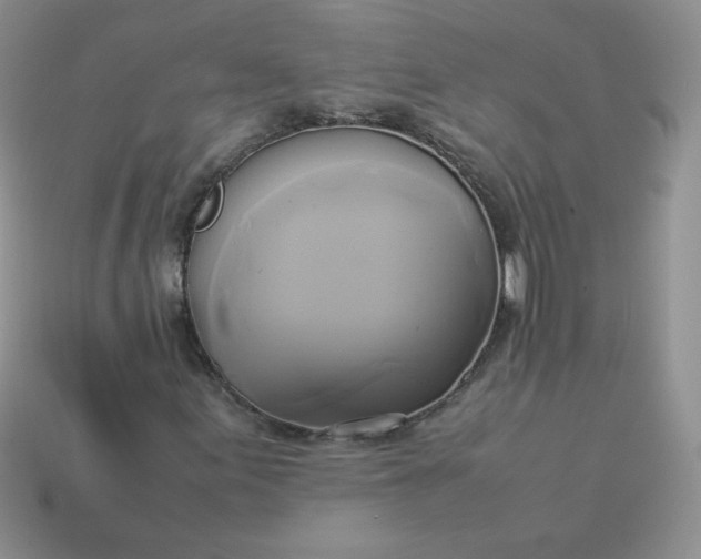 X0000114151155200910221541