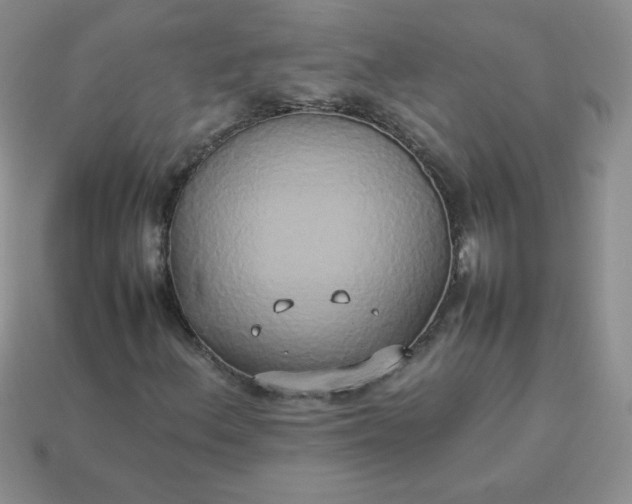 X0000114151156200910221541