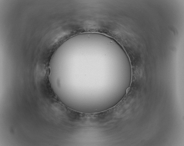 X0000114151157200910221541