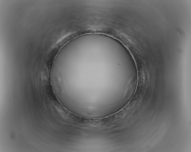 X0000114151158200910221541