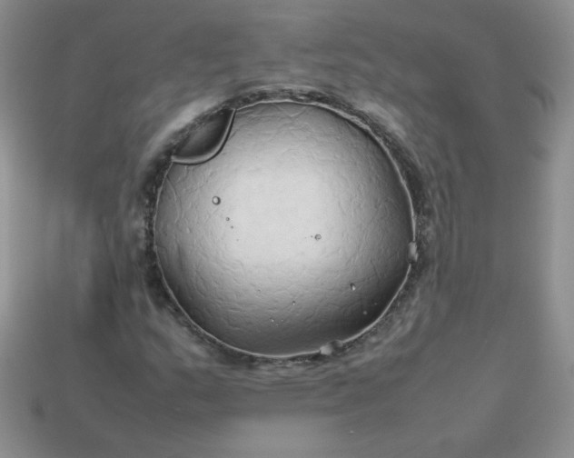 X0000114151159200910221541