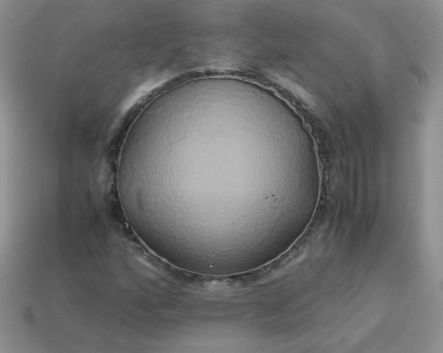 X0000114151160200910221541