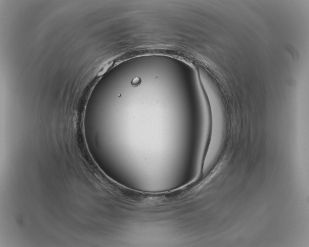 X0000114151161200910221541