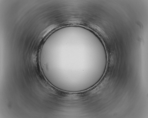 X0000114151162200910221541