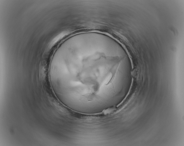 X0000114151163200910221541