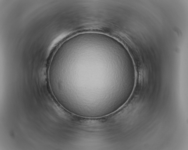 X0000114151164200910221541