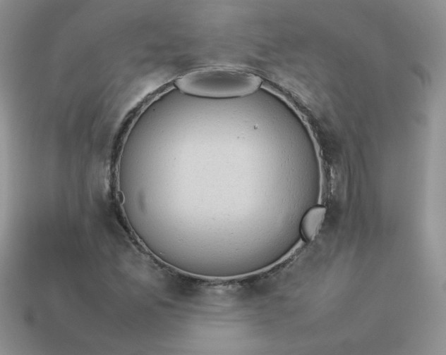 X0000114151165200910221541