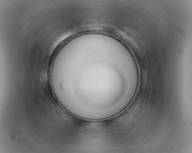 X0000114151166200910221541