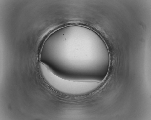 X0000114151167200910221541