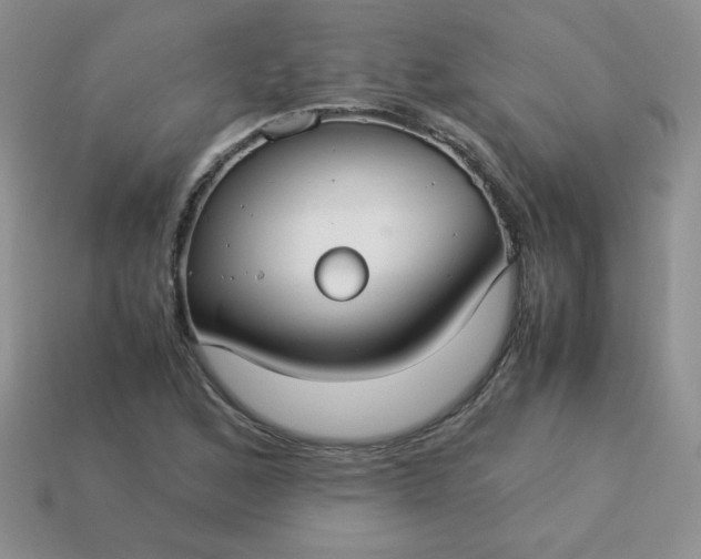 X0000114151168200910221541