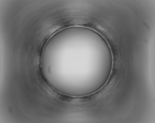 X0000114151169200910221541