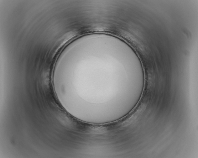 X0000114151170200910221541