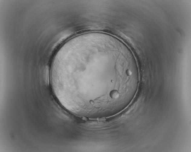 X0000114151171200910221540