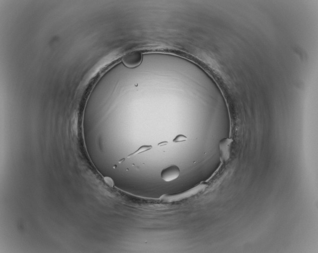 X0000114151173200910221540