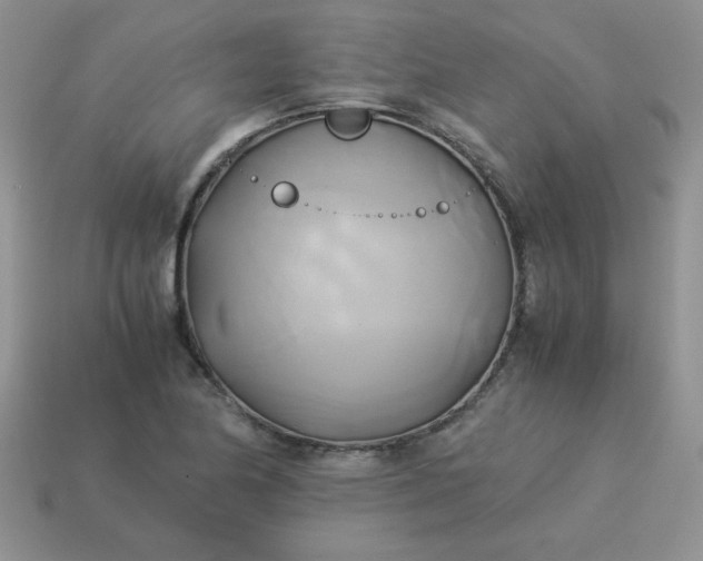 X0000114151174200910221540