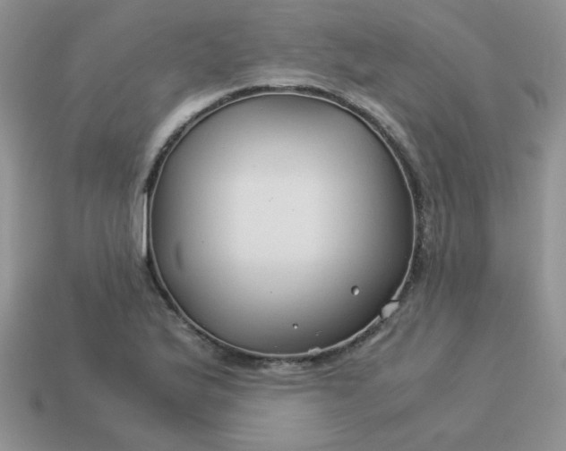 X0000114151175200910221540