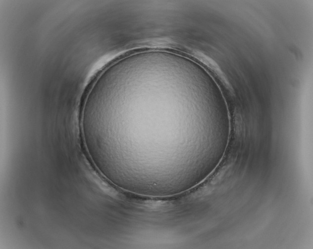 X0000114151176200910221540