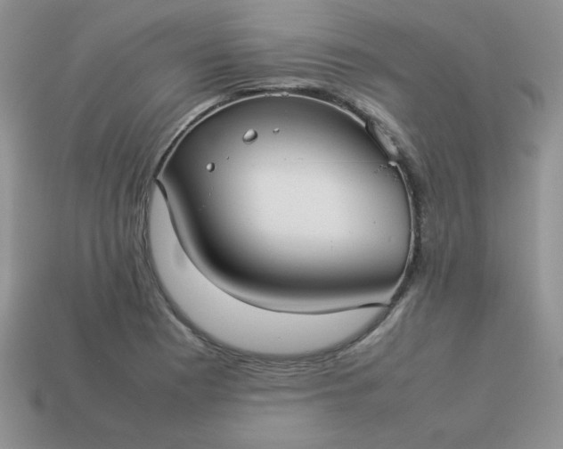 X0000114151177200910221540