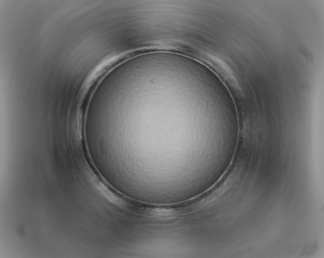 X0000114151180200910221540