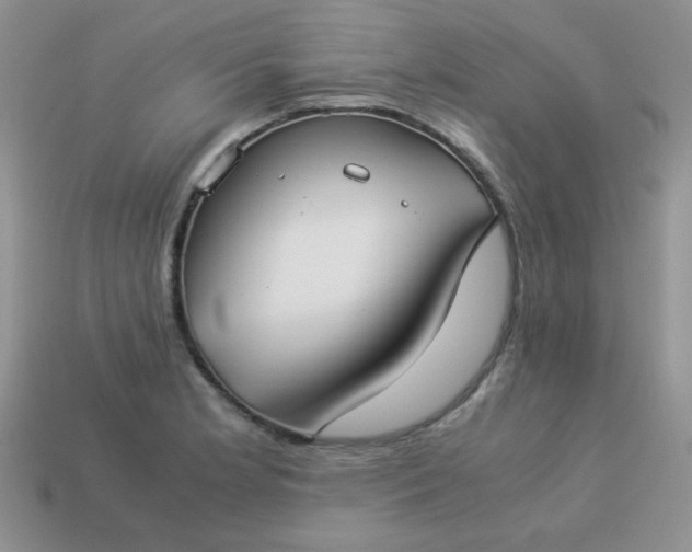 X0000114151181200910221540