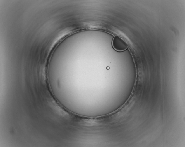 X0000114151182200910221540