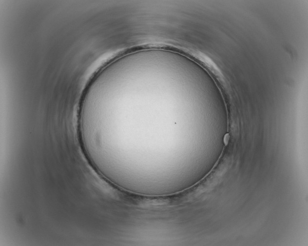 X0000114151183200910221540