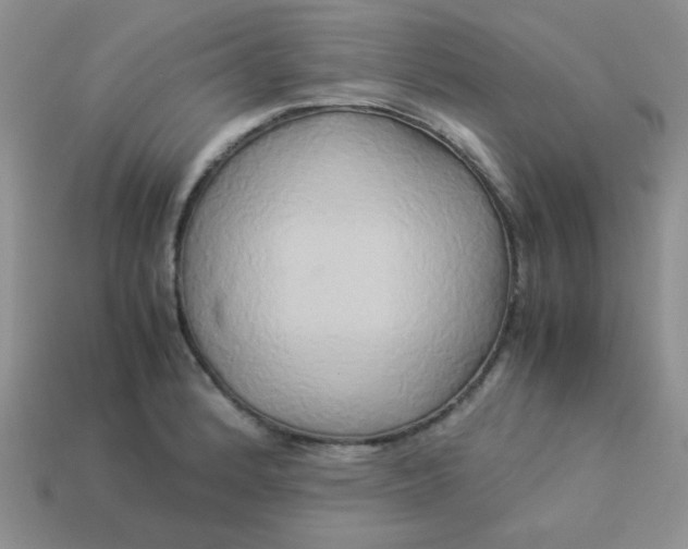 X0000114151184200910221540