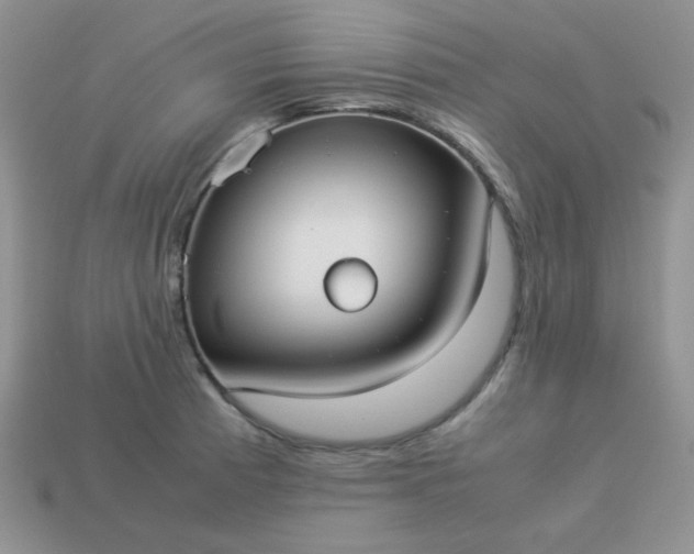 X0000114151185200910221540