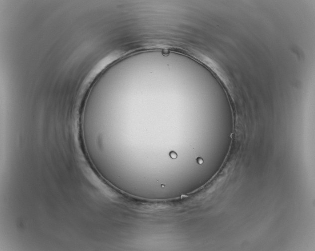 X0000114151187200910221540